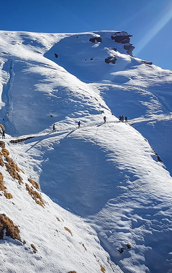 Chopta Chandrashila Tungnath Trek with Deoriatal